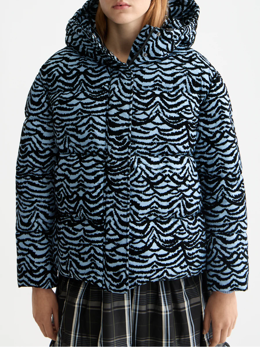Hooded puffer