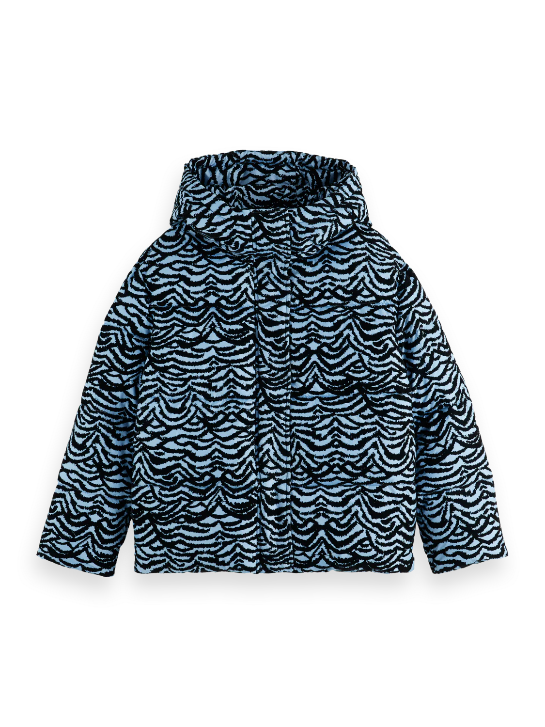 Hooded puffer - Image 5