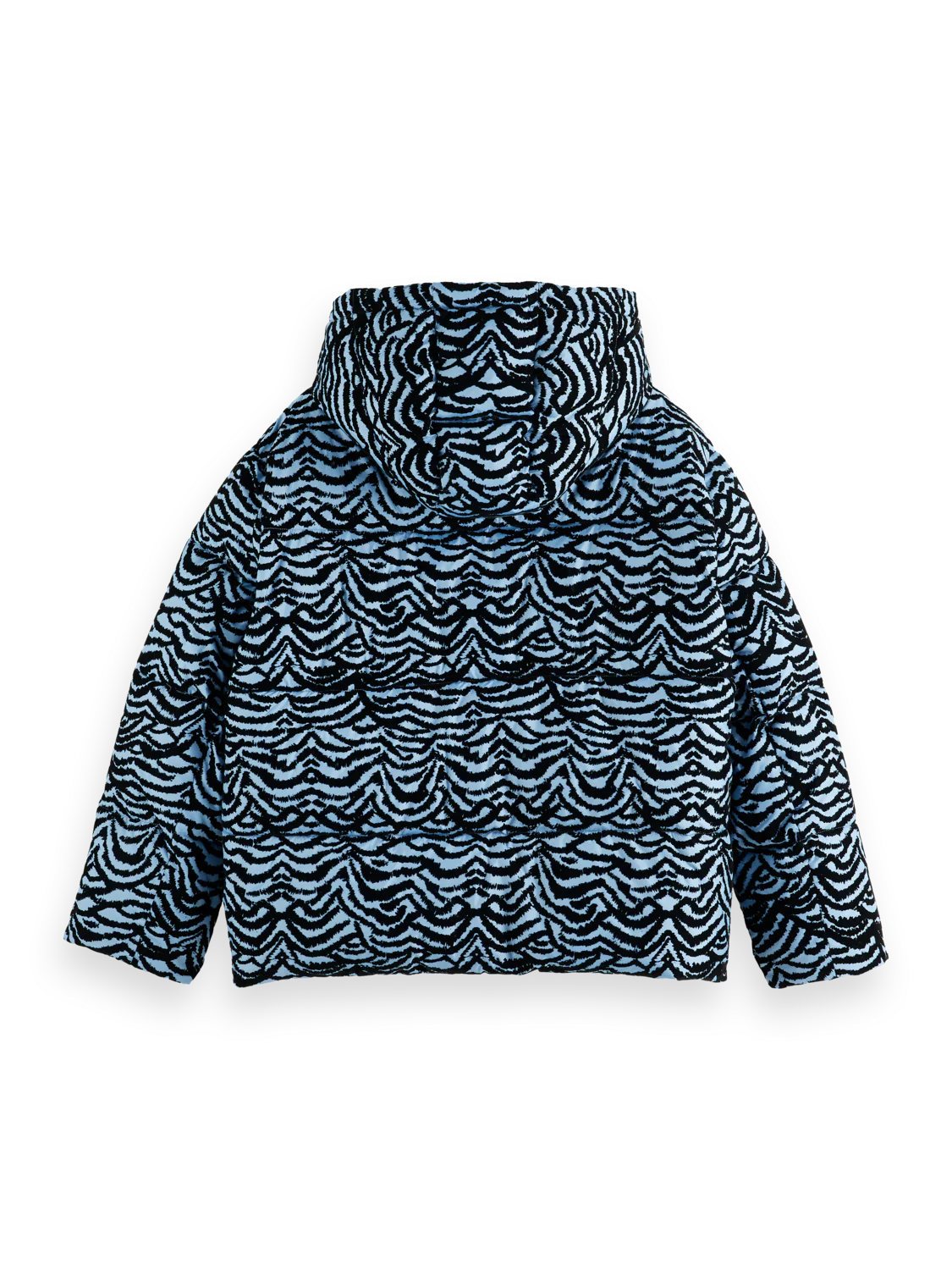 Hooded puffer - Image 6