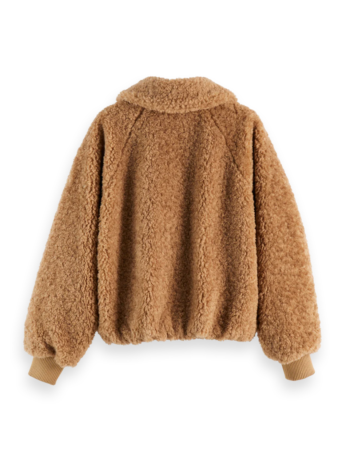 Teddy Bomber - Image 6